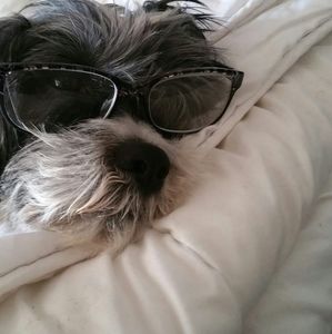 Meet your Posher, Laura